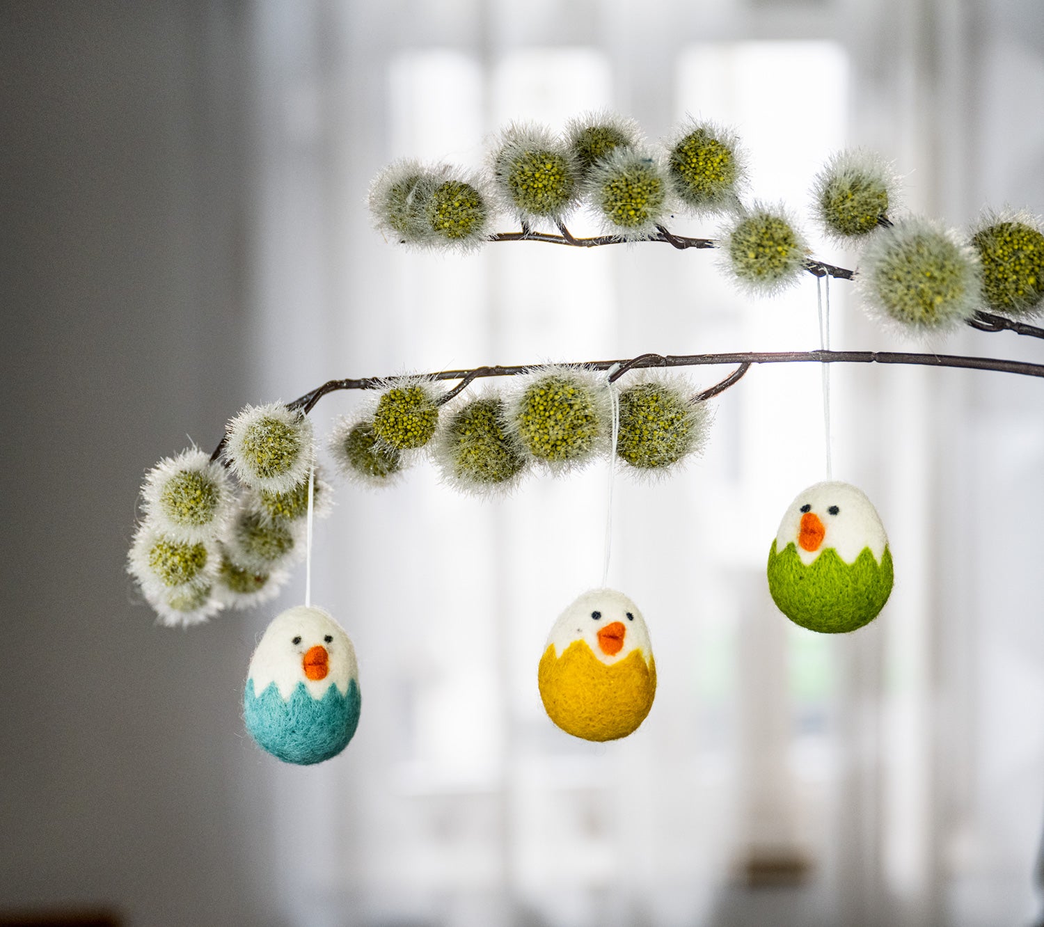 Zweig mit grünen, flauschigen Blüten, daran drei farbige Filz-Hänger Küken in den Farben Türkis, Gelb und Grün, weiße Köpfe mit orangenem Schnabel und schwarzen Augen, an dünner Schnur hängend