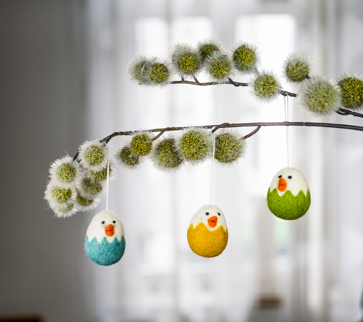 Zweig mit grünen, flauschigen Blüten, daran drei farbige Filz-Hänger Küken in den Farben Türkis, Gelb und Grün, weiße Köpfe mit orangenem Schnabel und schwarzen Augen, an dünner Schnur hängend