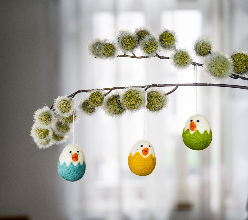 Zweig mit grünen, flauschigen Blüten, daran drei farbige Filz-Hänger Küken in den Farben Türkis, Gelb und Grün, weiße Köpfe mit orangenem Schnabel und schwarzen Augen, an dünner Schnur hängend