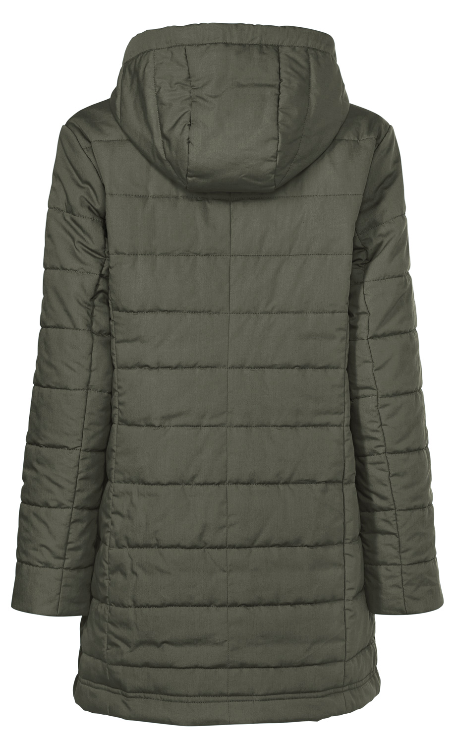 Dunkelgrüne, gesteppte Damenjacke mit Kapuze, langärmlig, tailliert, sichtbarer Rückenansicht, leicht gepolstert, mittellange Länge, schlichte Optik ohne sichtbare Verschlüsse oder Muster.
