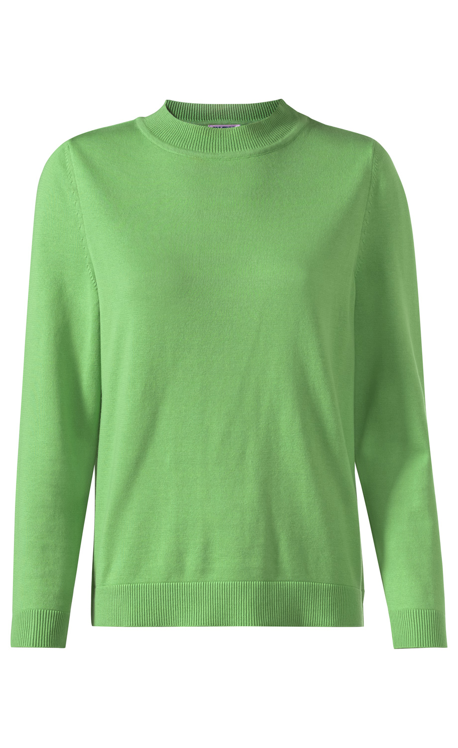 grüner Baumwoll-Pullover mit rundem Kragen, langen Ärmeln und gerippten Bündchen an Ärmelenden und Saum, schlichter, unifarbener Stil