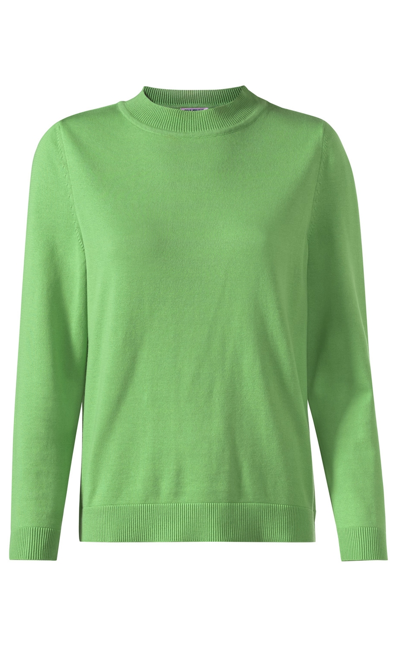 grüner Baumwoll-Pullover mit rundem Kragen, langen Ärmeln und gerippten Bündchen an Ärmelenden und Saum, schlichter, unifarbener Stil