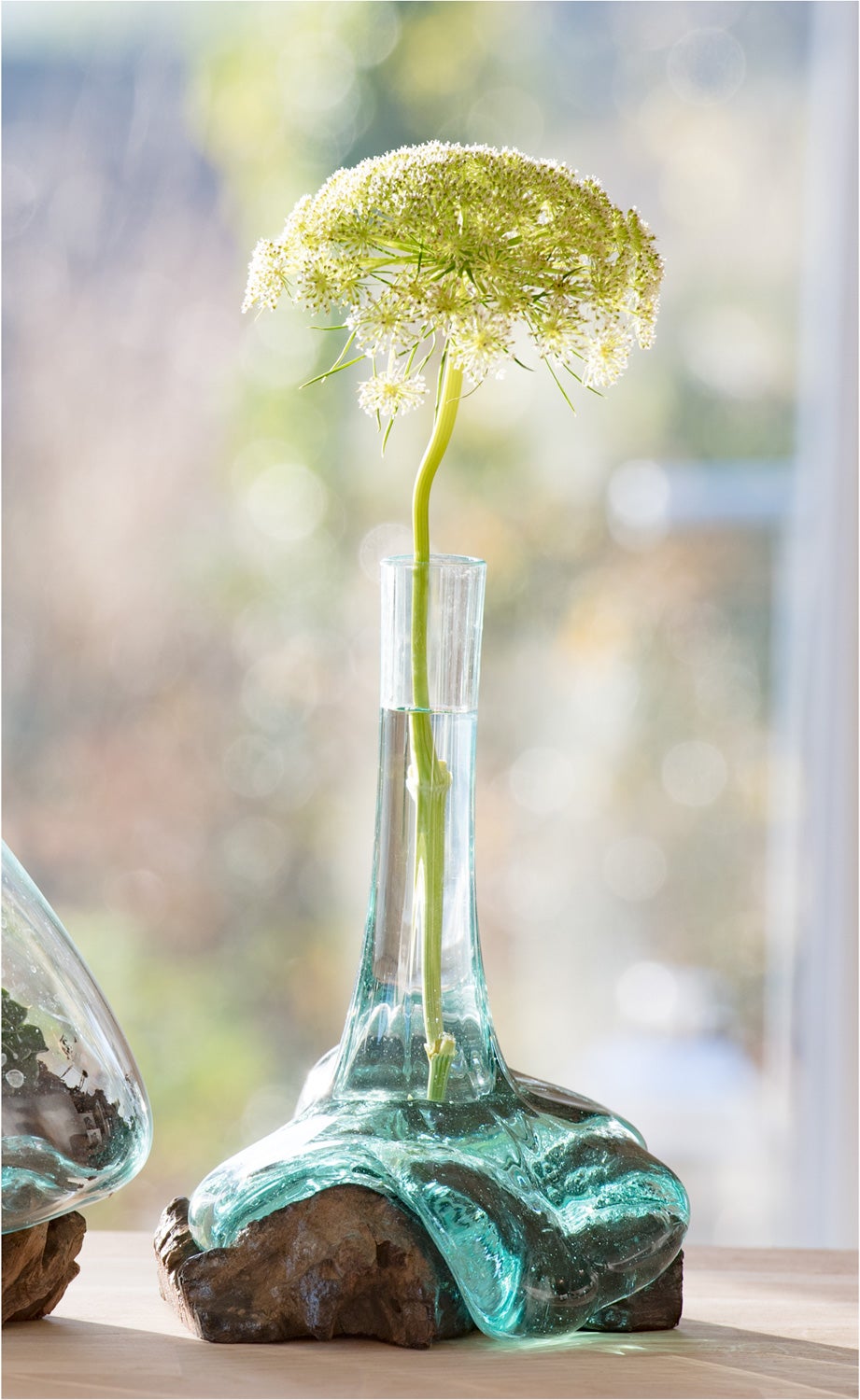 Wurzelvase