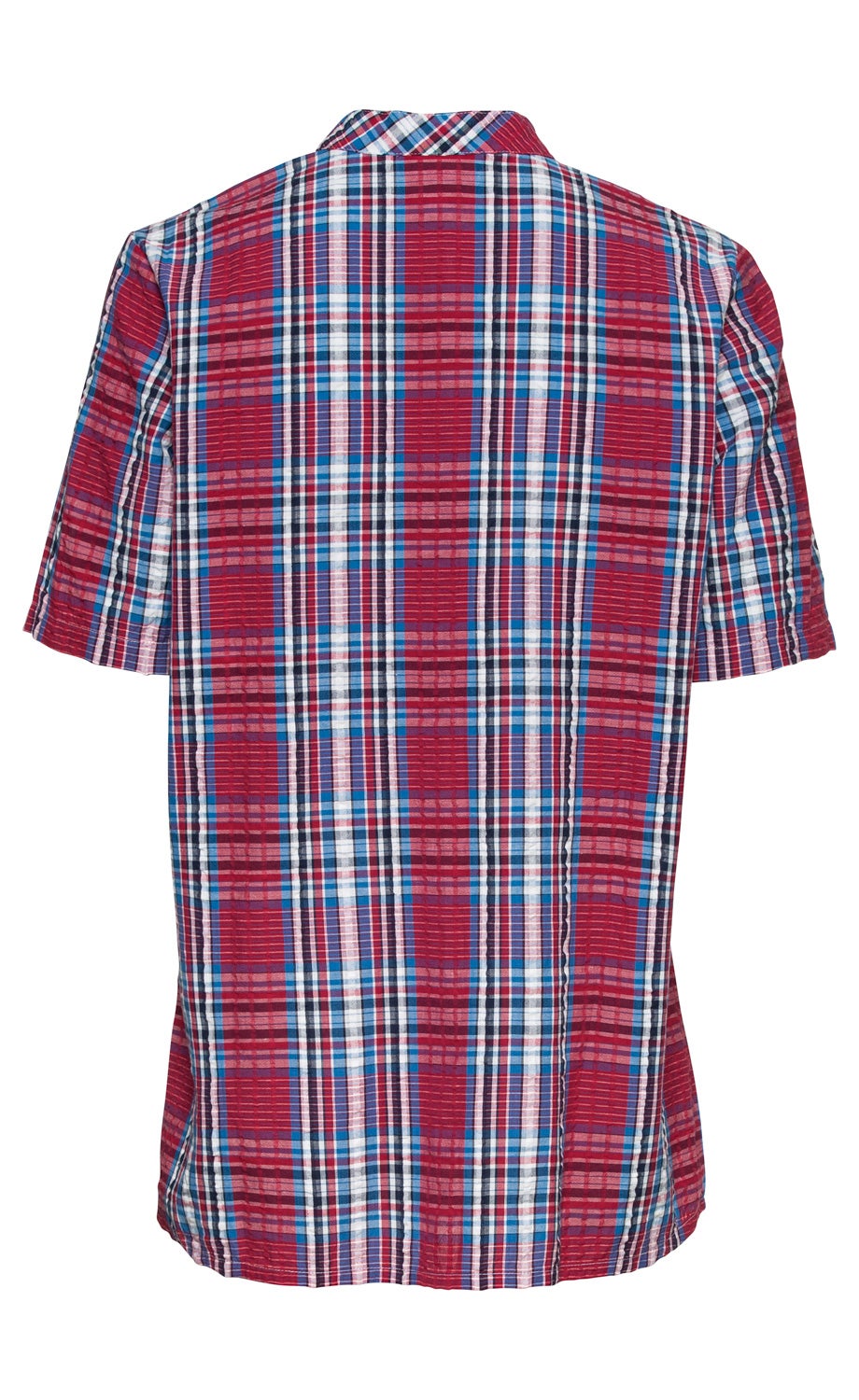 Baumwoll-Bluse in Rot, Weiß, Blau kariert, kurze Ärmel, Rückansicht, normaler Kragen, leichte Faltenstruktur im Stoff, legere Passform, klassisches Muster