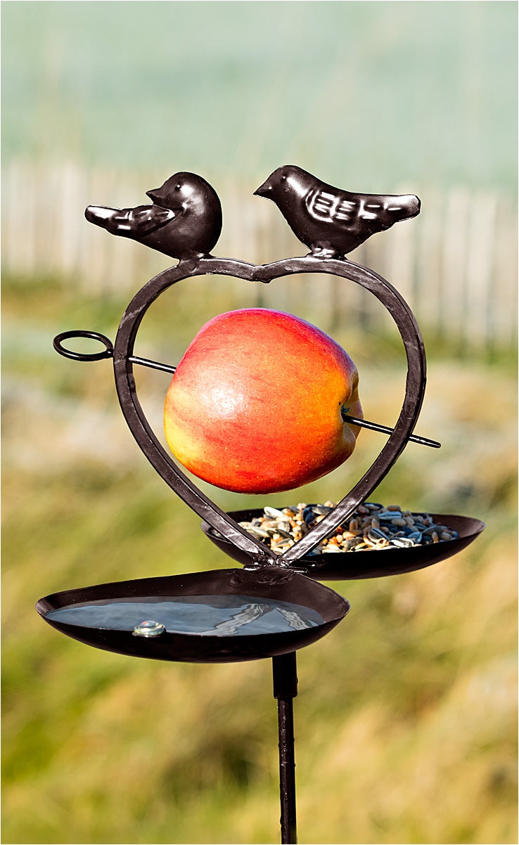 Vogelbad