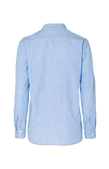 Hellblaues Hemd mit weißen feinen Streifen, lange Ärmel, gerade geschnitten, klassischer Hemdkragen, Rückenansicht ohne sichtbare Knöpfe