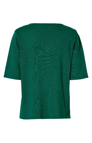 T-Shirt in dunklem Tannengrün, einfarbig, Rundhalsausschnitt, kurze Ärmel, gerade geschnitten, Rückansicht ohne sichtbare Verzierungen