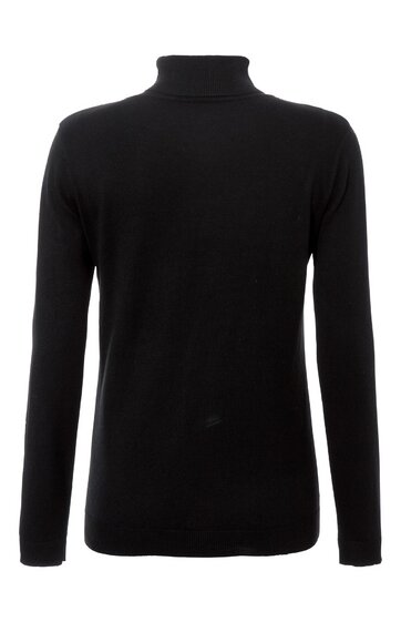 Schwarzer Langarmpullover mit Stehkragen, gerade geschnitten, ohne Muster, glatte Oberfläche