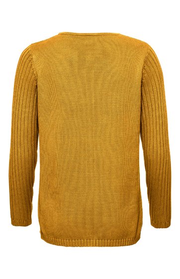 Senfgelber Pullover, einfarbig, mit gerippten Ärmeln, Rundhalsausschnitt, gerader Schnitt, Rückenansicht