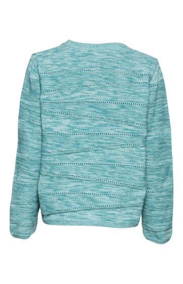 Türkisfarbenes Langarmshirt mit horizontalem Linienmuster in Hellblau und Schwarz, Rundhalsausschnitt, lockere Passform, Rückansicht