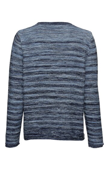 Langärmliges Sweatshirt in Blautönen mit horizontal gestreiftem Muster, Rundhalsausschnitt, gerade geschnitten, Rückansicht