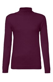 Langärmliges Oberteil, dunkelviolett, unifarben, hoher Stehkragen, gerade geschnitten