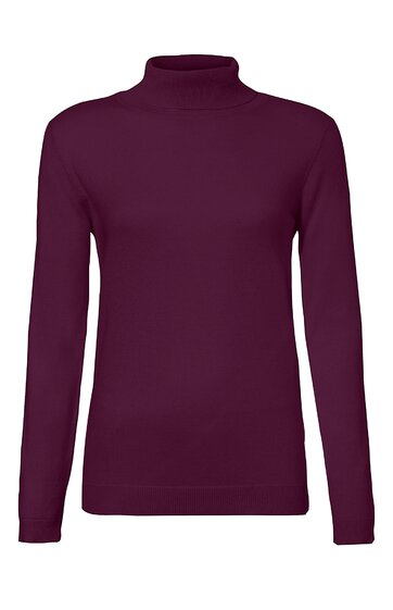 Langärmliges Oberteil, dunkelviolett, unifarben, hoher Stehkragen, gerade geschnitten
