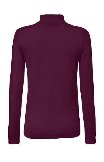 Langärmeliges Shirt in dunklem Weingrün, hochgeschlossener Kragen, schmale Passform, ohne Muster oder sichtbare Details, Rückansicht