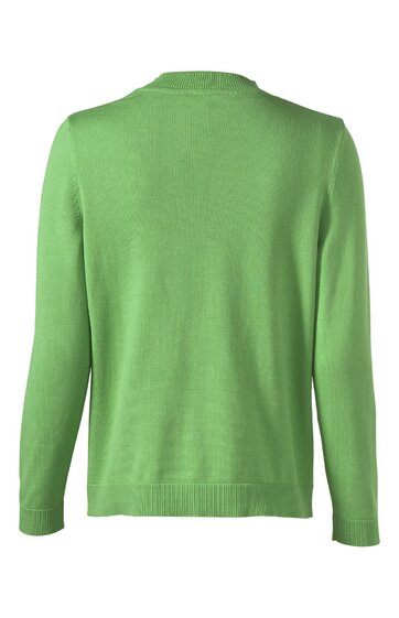 Hellgrüner Pullover ohne Muster, Rundhalsausschnitt, lange Ärmel, gerader Schnitt, ohne sichtbare Verzierungen oder Knöpfe, Rückansicht