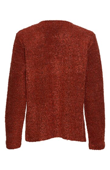 Rotes Langarmshirt ohne Muster, gerade geschnitten, mit rundem Ausschnitt, Rückansicht, einfache Nahtführungen