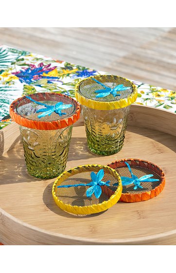 Glas-Schutz 4/Set