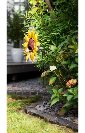 Futterstation Sonnenblume