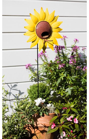 Futterstation Sonnenblume