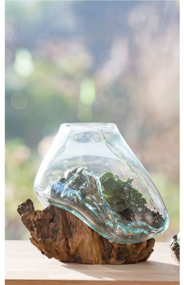 Glasvase mit unregelmäßiger, organischer Form, transparent, auf skulpturaler Holzskulptur liegend, natürliche Holzmaserung sichtbar, Vase umschließt Teile des Holzes, stehendes Dekorationsobjekt