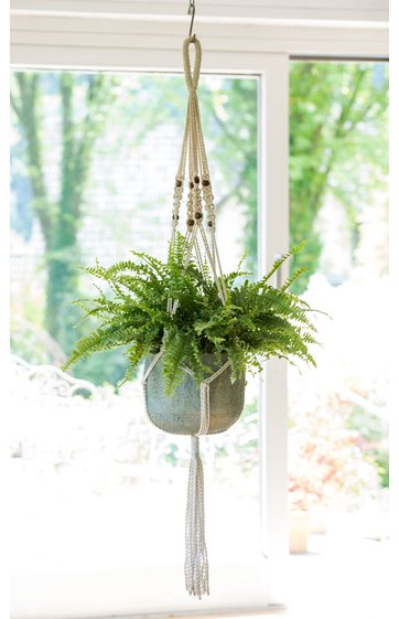 Hängender Blumentopf
