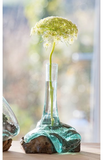 Wurzelvase