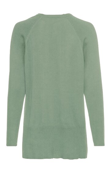 Langärmliger Pullover in hellem Salbeigrün, ohne Muster, Rundhalsausschnitt, gerade geschnitten, mit verlängertem Rücken
