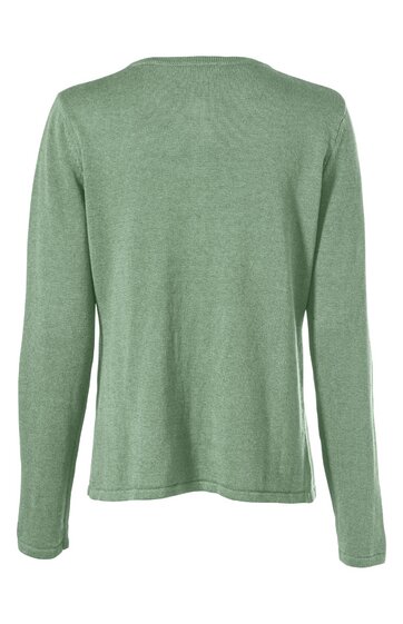 Langärmliges Oberteil in hellem Salbeigrün, rundhals, gerade geschnitten, ohne Muster, Rückansicht