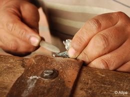 Allpa: Tradition mit Zukunft