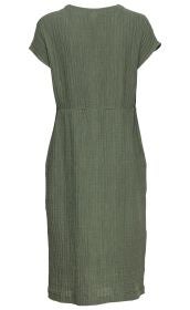 Baumwoll-Kleid in Khaki, knielang, kurzärmlig, hinten mit Rundhalsausschnitt, leichte Faltenstruktur, gerade geschnitten mit Taillennaht, schlicht und bequem