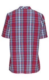 Baumwoll-Bluse in Rot, Weiß, Blau kariert, kurze Ärmel, Rückansicht, normaler Kragen, leichte Faltenstruktur im Stoff, legere Passform, klassisches Muster